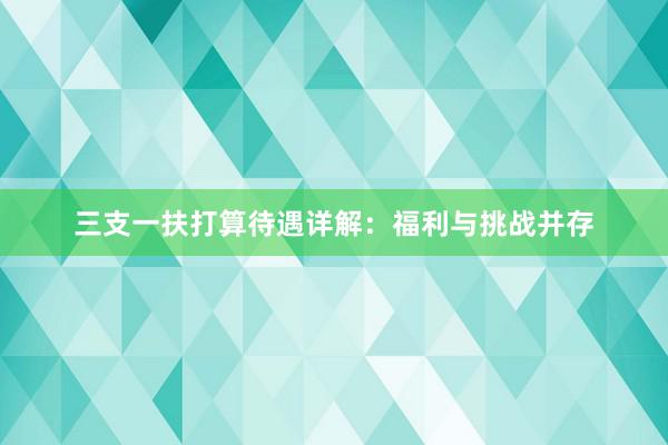 三支一扶打算待遇详解：福利与挑战并存