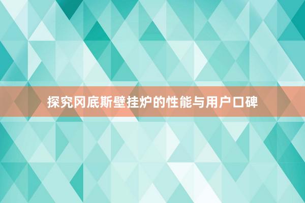 探究冈底斯壁挂炉的性能与用户口碑